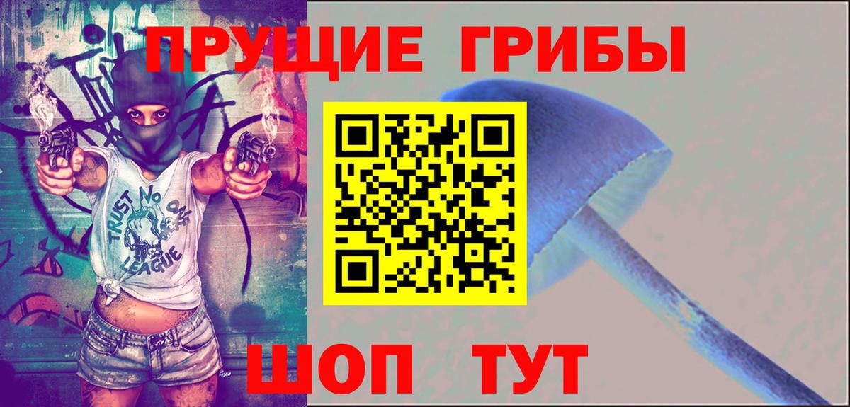 Зерноград  Псилоцибиновые грибы мицелий  Галлюциногенные грибы мицелий  Вход с VPN 
